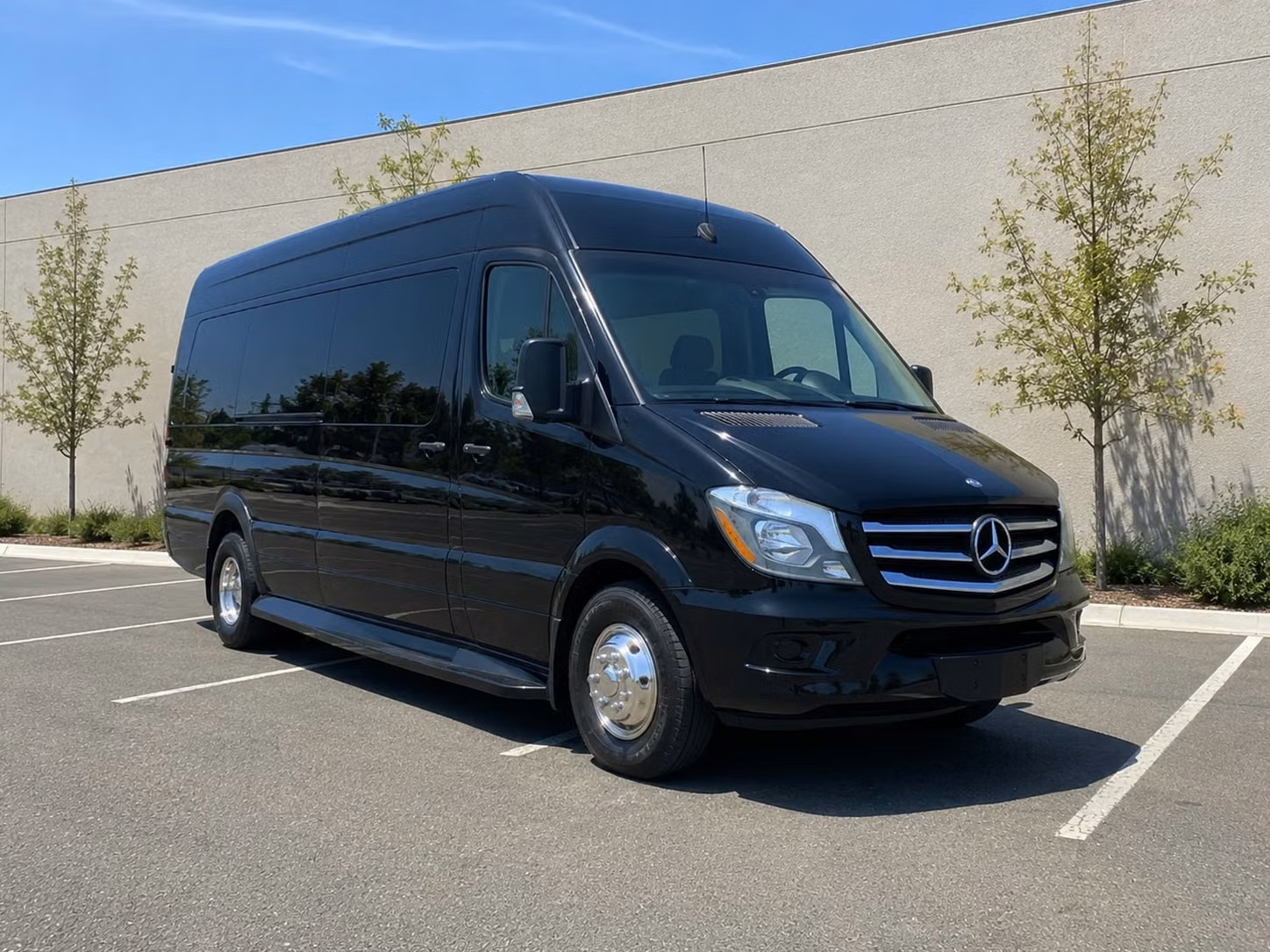 sprinter van with driver